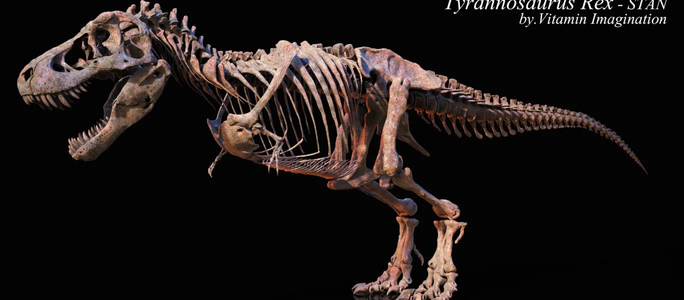 Δημοπρατείται ο σκελετός ενός από τους μεγαλύτερους γνωστούς Τ-Rex με μήκος 12 μέτρα & ύψος 4 